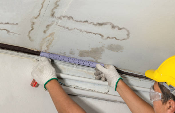 Affordable Water Damage Repair solutions in Buchanan, VA